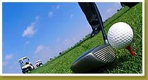 Las actividades Las actividades